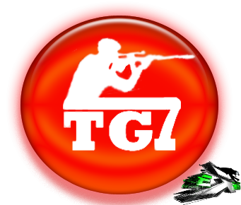 TeamGoteiSeven (TG7)